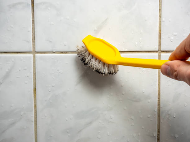 Professional Mold Removal in Elm Creek, TX