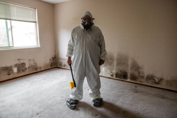 Best Residential Mold Removal  in Elm Creek, TX