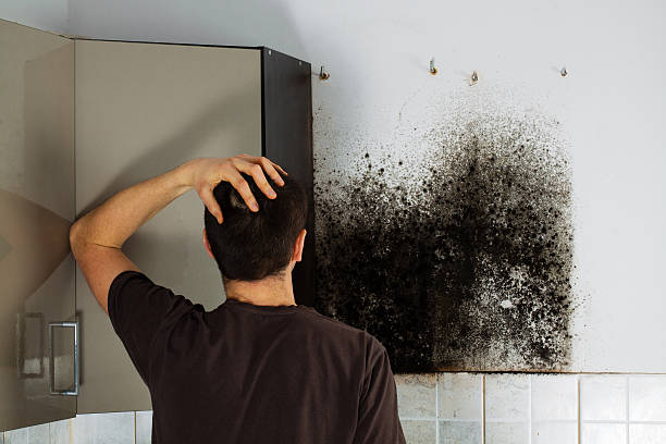 Best Certified Mold Removal  in Elm Creek, TX